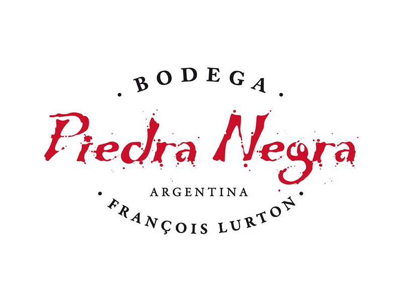 Producent wina - Bodega Piedra Negra